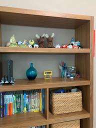 Indigo Living Bookshelf Bookcase image 3