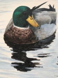 Oil Painting - Two Mallards image 3