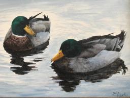 Oil Painting - Two Mallards image 2