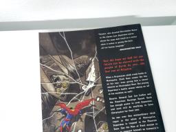 Superman Last Son Graphic Novel Comics image 7