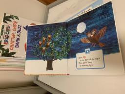 The world of Eric Carle-8 book set image 5
