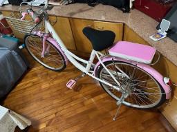 20  geared Bike in brand new condition image 2