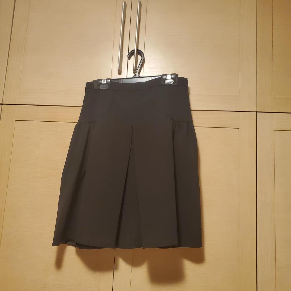 Black Box Pleated Skirt