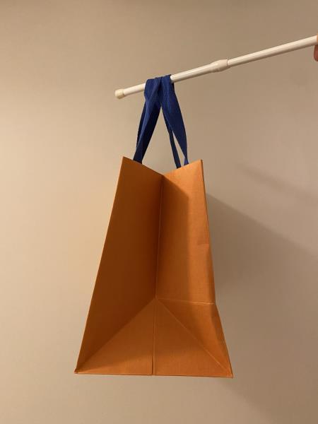 Lv paper bag (25cm x 21cm x 15cm)