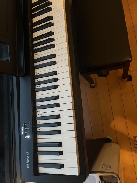 ALESIS MELODY 61 KEYBOARD - musical instruments - by owner - sale -  craigslist