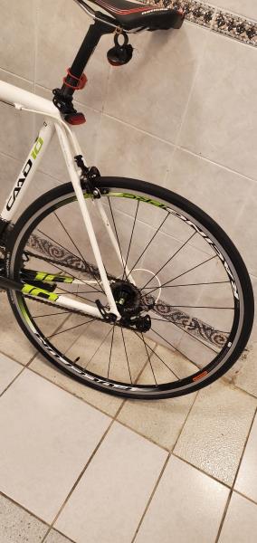 Cannondale best sale caad10 54cm