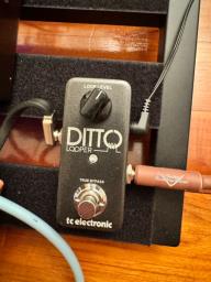 Ditto Loop Pedal image 1