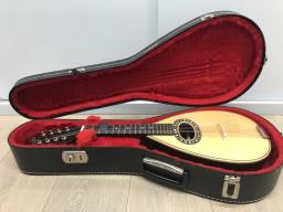 Artimusita Mandolin 5000 image 2