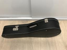 Artimusita Mandolin 5000 image 1