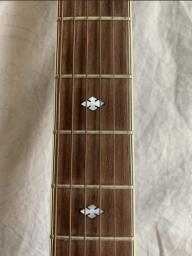 Semi acoustic guitar image 4