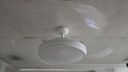 Electric Fan  light image 1