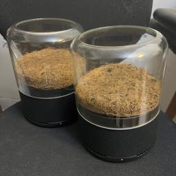 Briiv air purifier image 3