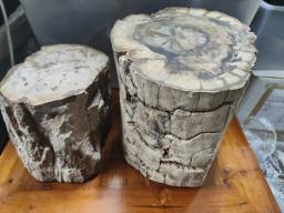Petrified Wood Slabs image 3