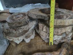 Petrified Wood Slabs image 6