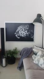 Cheetah print image 1