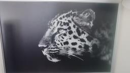 Cheetah print image 2