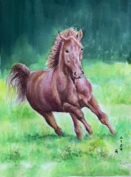 Galloping  horse watercolour painting image 1