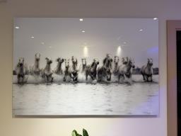 Horse Power New Limited Edition Art image 4