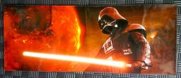 Poster  Star Wars Force Unleashed image 3