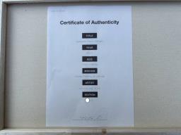 Yuya Hashizume serie of 4 Eyewater Music image 5