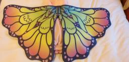 Butterfly Costume - Final image 3