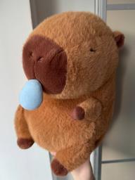 Capybara Plush Toy image 3
