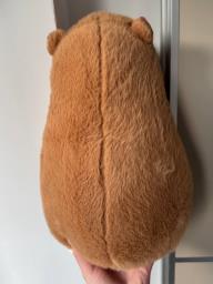 Capybara Plush Toy image 2