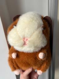 Fluffy Capybara Plush Toy image 1
