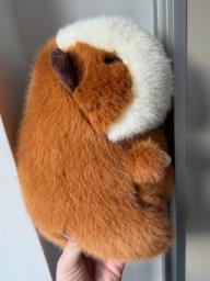 Fluffy Capybara Plush Toy image 3