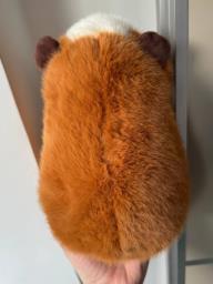 Fluffy Capybara Plush Toy image 4