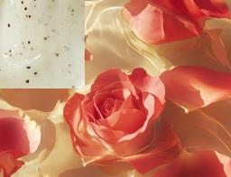 Argan  Rose Petals Body Scrub-in-oil image 2
