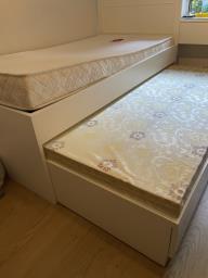 2 Seahorse Mattresses image 2