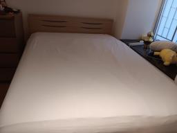 45 feet bed frame only image 1