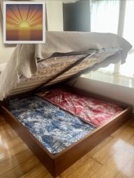 Indigo Living gas lift bed - queen size image 3