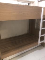Pricerite Solid wood bunk bed image 1