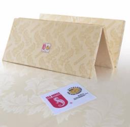 Sea Horse Foldable Mattress with storage image 1