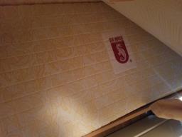 Seahorse foldable mattress image 1