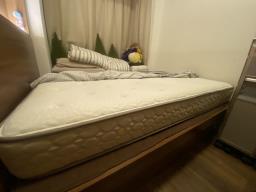 Seahorse mattress image 2