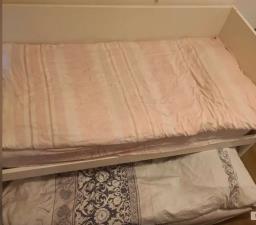 Trundle Bed  2 Single Mattresses image 1