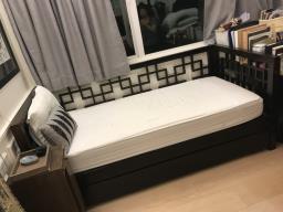 Twin Daybed with additional rollaway bed image 1