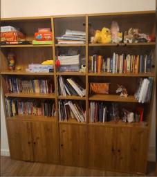 Bookcase and Cabinets image 2