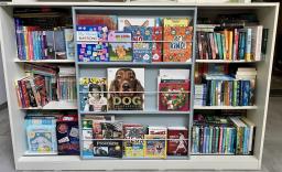 Hyundai Livart Comme Ismine bookshelf image 2