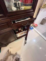 Rare Mahogany Wooden Display Cabinet image 3