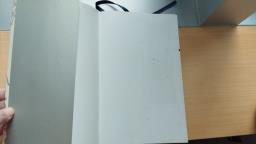 Dream of the Red Chamber part 1 image 5