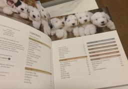 Encyclopedia of dogs image 2