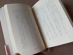 Japanese Fiction image 2