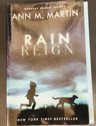 Rain Reign by Ann M Martin image 1