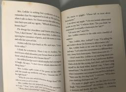 Rain Reign by Ann M Martin image 2