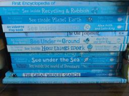 Usbourne flap books  others image 1