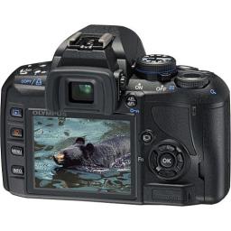 Professional Olympus E420 Digital Camera image 2